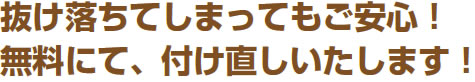 抜け落ちてしまってもご安心！　無料にて、付け直しいたします！！