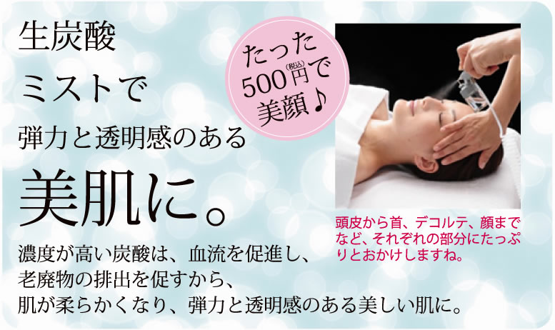 炭酸セラピー・一カ所 500 円